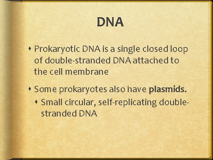 DNA Prokaryotic DNA is a single closed loop of double-stranded DNA attached to the DNA Prokaryotic DNA is a single closed loop of double-stranded DNA attached to the
