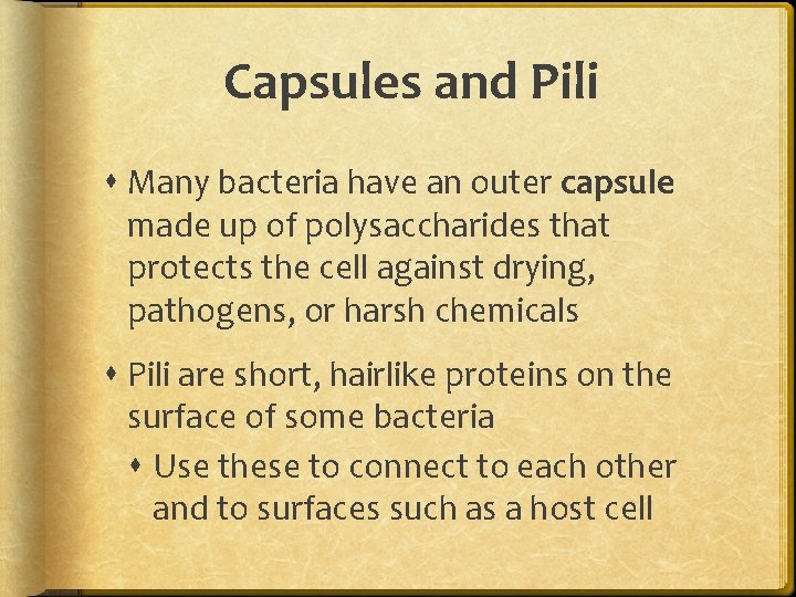 Capsules and Pili Many bacteria have an outer capsule made up of polysaccharides that Capsules and Pili Many bacteria have an outer capsule made up of polysaccharides that