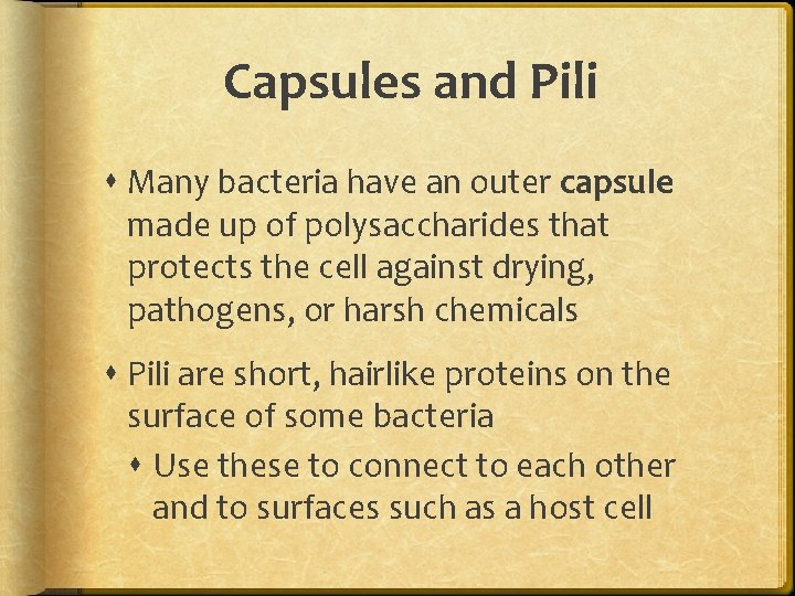 Capsules and Pili Many bacteria have an outer capsule made up of polysaccharides that