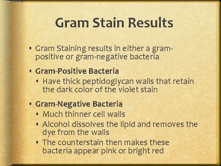 Gram Stain Results Gram Staining results in either a grampositive or gram-negative bacteria Gram-Positive