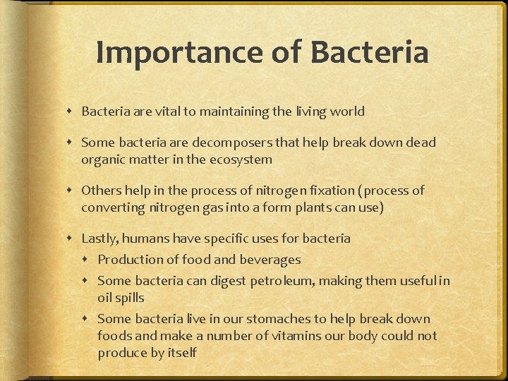 Importance of Bacteria are vital to maintaining the living world Some bacteria are decomposers Importance of Bacteria are vital to maintaining the living world Some bacteria are decomposers