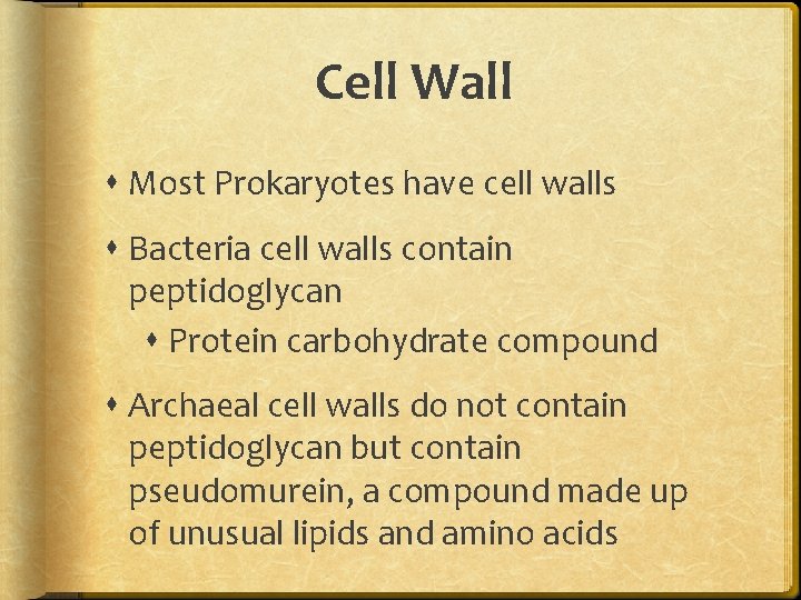 Cell Wall Most Prokaryotes have cell walls Bacteria cell walls contain peptidoglycan Protein carbohydrate Cell Wall Most Prokaryotes have cell walls Bacteria cell walls contain peptidoglycan Protein carbohydrate