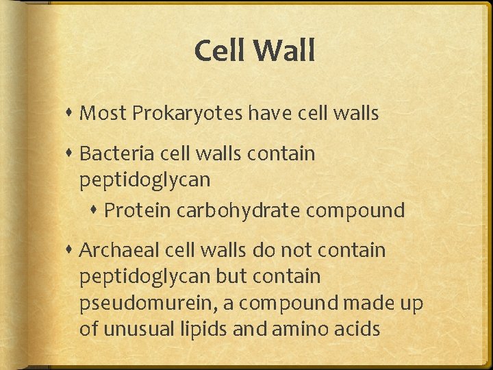 Cell Wall Most Prokaryotes have cell walls Bacteria cell walls contain peptidoglycan Protein carbohydrate