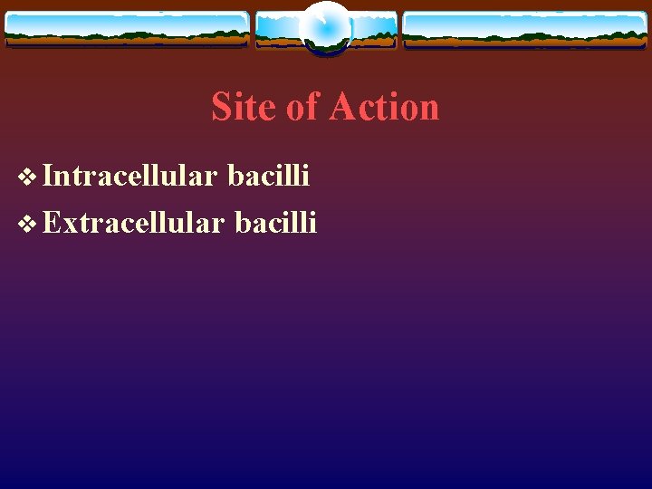Site of Action v Intracellular bacilli v Extracellular bacilli 