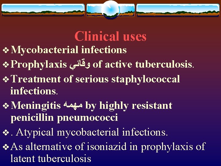 Clinical uses v Mycobacterial infections v Prophylaxis ﻭﻗﺎﺋﻲ of active tuberculosis. v Treatment of