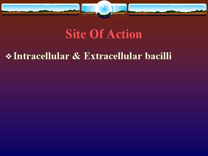 Site Of Action v Intracellular & Extracellular bacilli 