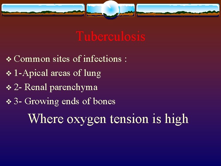 Tuberculosis v Common sites of infections : v 1 -Apical areas of lung v