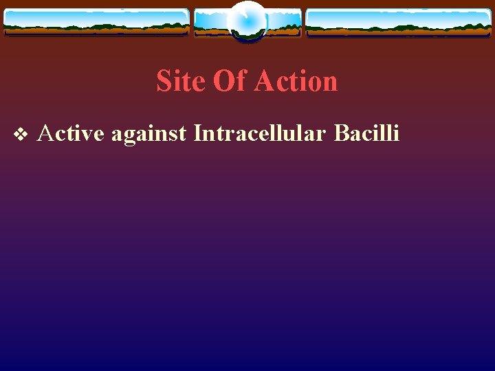 Site Of Action v Active against Intracellular Bacilli 