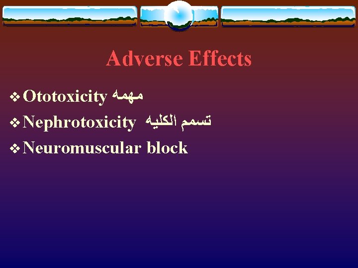 Adverse Effects v Ototoxicity ﻣﻬﻤﻪ v Nephrotoxicity ﺗﺴﻤﻢ ﺍﻟﻜﻠﻴﻪ v Neuromuscular block 