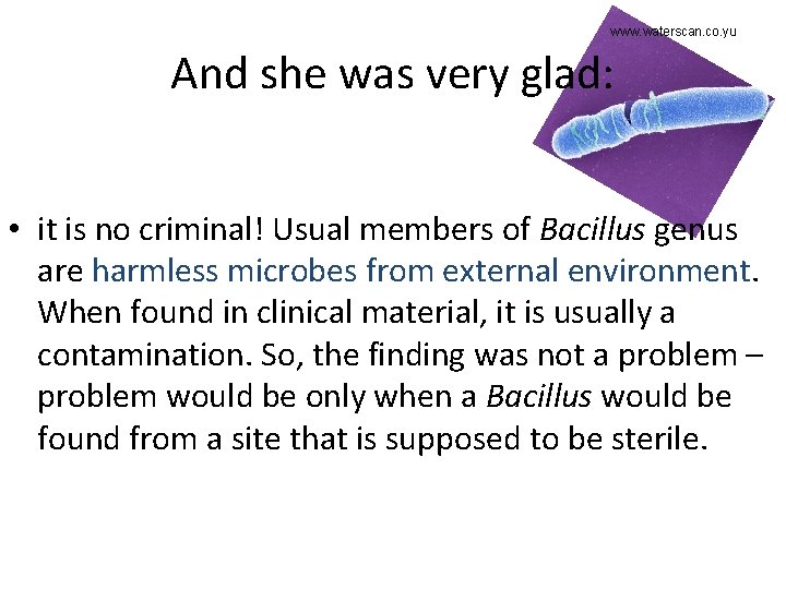 www. waterscan. co. yu And she was very glad: • it is no criminal!