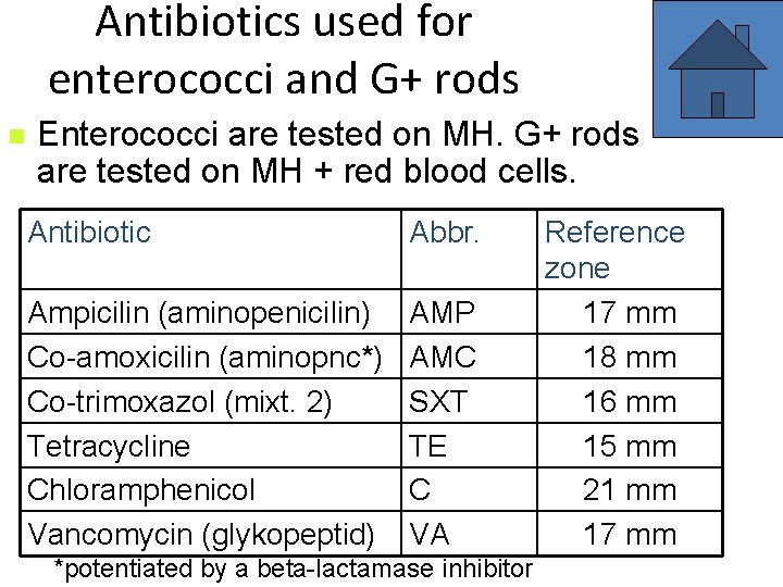 Antibiotics used for enterococci and G+ rods n Enterococci are tested on MH. G+