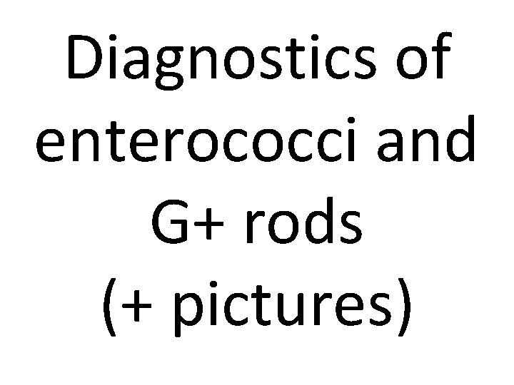 Diagnostics of enterococci and G+ rods (+ pictures) 