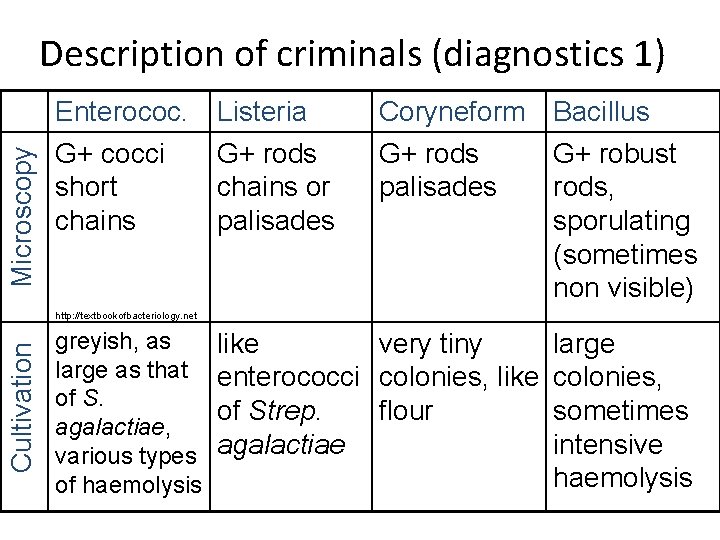 Microscopy Description of criminals (diagnostics 1) Enterococ. G+ cocci short chains Listeria G+ rods