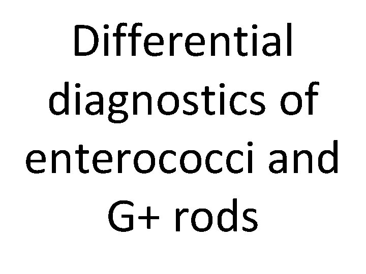 Differential diagnostics of enterococci and G+ rods 