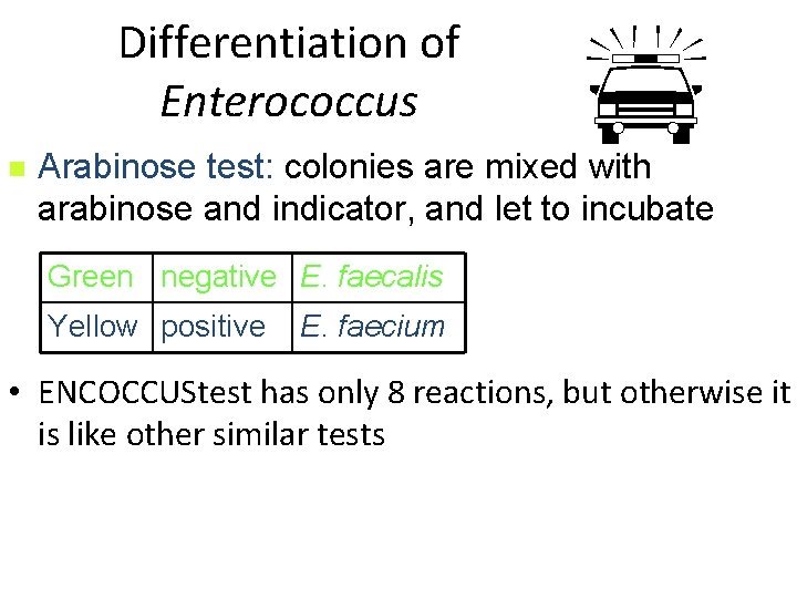 Differentiation of Enterococcus n p Arabinose test: colonies are mixed with arabinose and indicator,