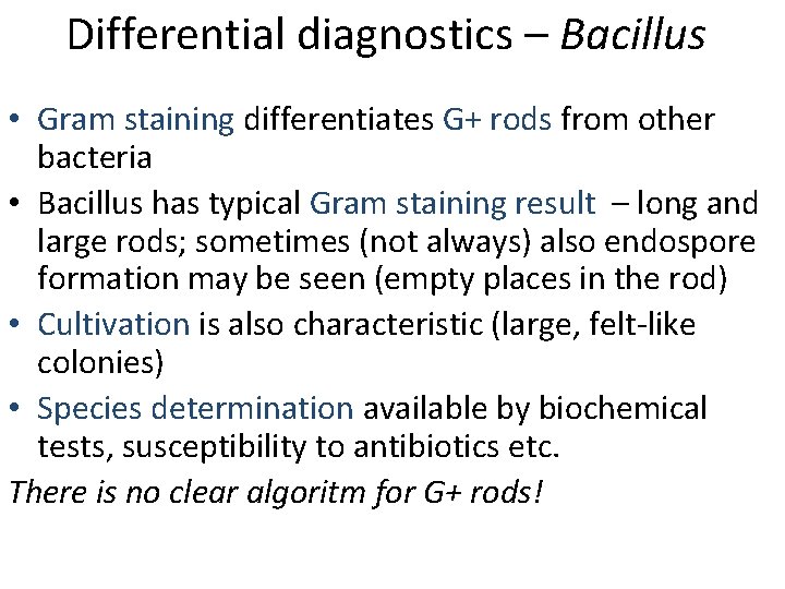 Differential diagnostics – Bacillus • Gram staining differentiates G+ rods from other bacteria •