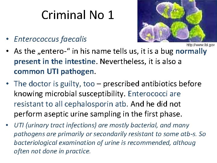 Criminal No 1 • Enterococcus faecalis http: //www. lbl. gov • As the „entero-“