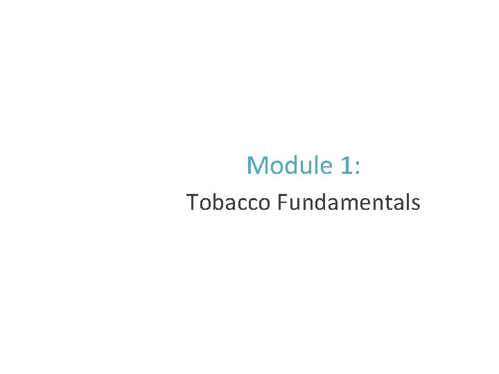 Module 1: Tobacco Fundamentals 