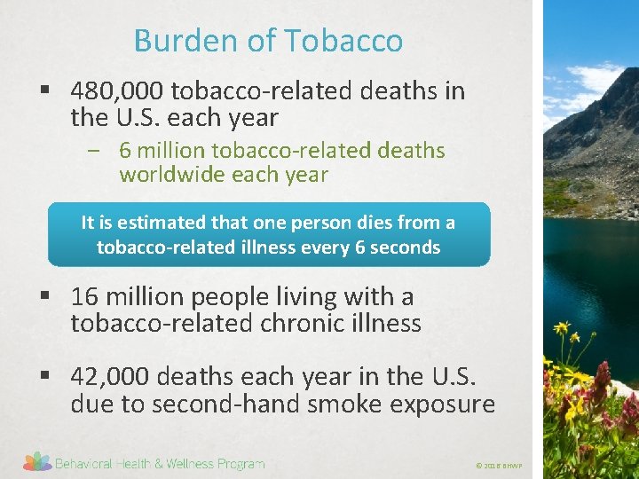 Burden of Tobacco § 480, 000 tobacco-related deaths in the U. S. each year