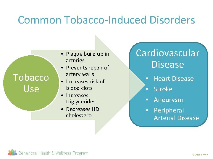 Common Tobacco-Induced Disorders Tobacco Use • Plaque build up in arteries • Prevents repair