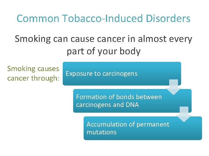 Common Tobacco-Induced Disorders Smoking can cause cancer in almost every part of your body