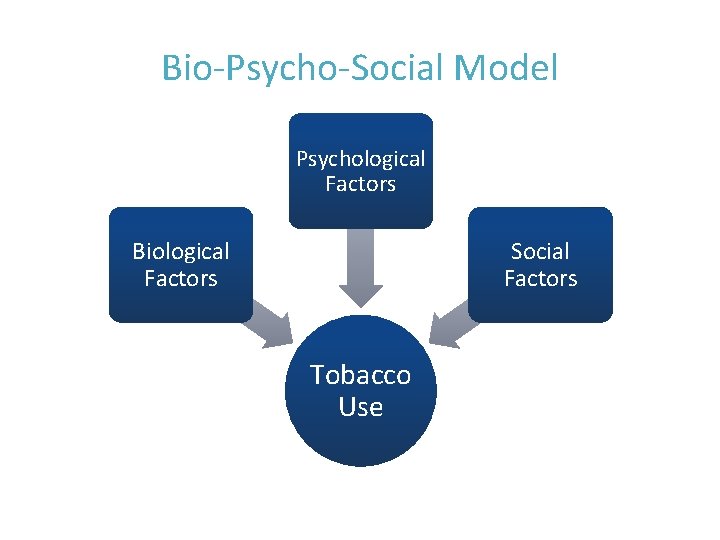Bio-Psycho-Social Model Psychological Factors Biological Factors Social Factors Tobacco Use © 2016 BHWP 