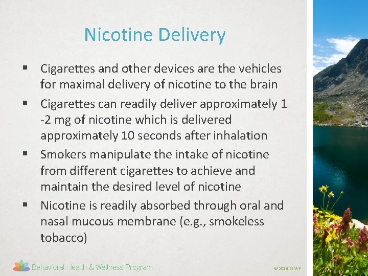 Nicotine Delivery § Cigarettes and other devices are the vehicles for maximal delivery of