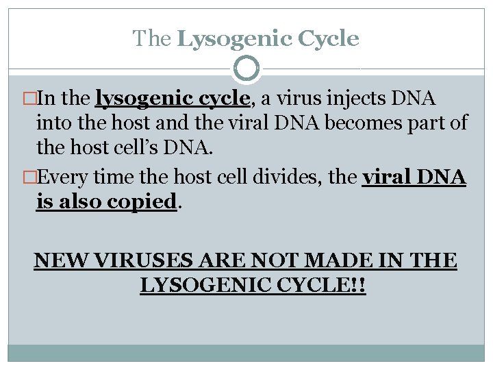 The Lysogenic Cycle �In the lysogenic cycle, a virus injects DNA into the host