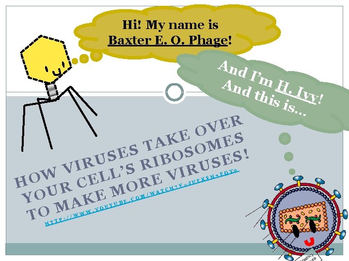 Hi! My name is Baxter E. O. Phage! And I’m And H. I vy!