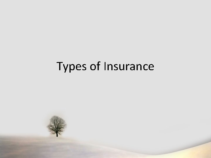 Types of Insurance 