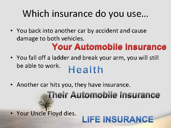 Which insurance do you use… • You back into another car by accident and