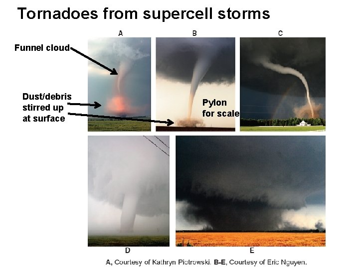 Tornadoes from supercell storms Funnel cloud Dust/debris stirred up at surface Pylon for scale
