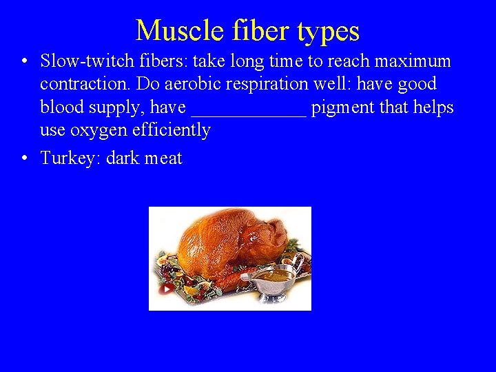 Muscle fiber types • Slow-twitch fibers: take long time to reach maximum contraction. Do