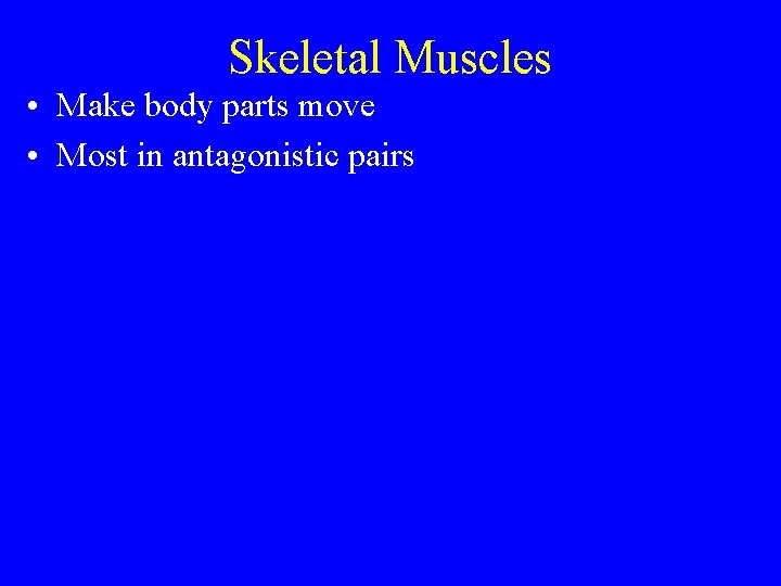 Skeletal Muscles • Make body parts move • Most in antagonistic pairs 