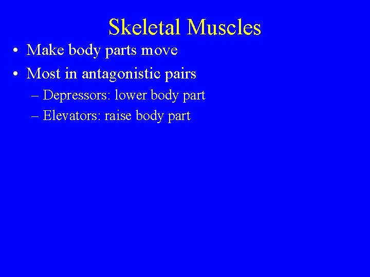 Skeletal Muscles • Make body parts move • Most in antagonistic pairs – Depressors: