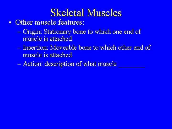 Skeletal Muscles • Other muscle features: – Origin: Stationary bone to which one end