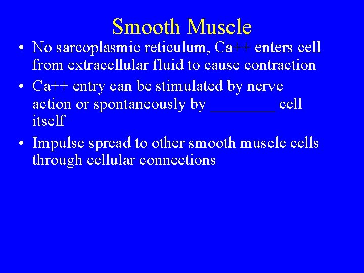 Smooth Muscle • No sarcoplasmic reticulum, Ca++ enters cell from extracellular fluid to cause