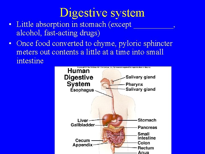 Digestive system • Little absorption in stomach (except _____, alcohol, fast-acting drugs) • Once