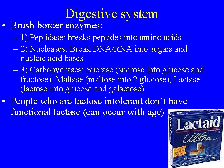 Digestive system • Brush border enzymes: – 1) Peptidase: breaks peptides into amino acids