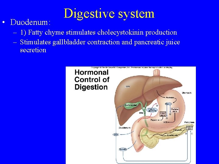  • Duodenum: Digestive system – 1) Fatty chyme stimulates cholecystokinin production – Stimulates