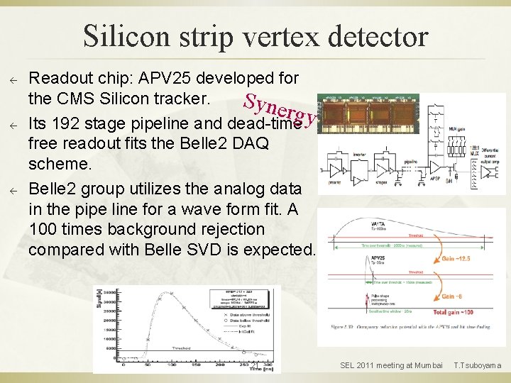 Silicon strip vertex detector ß ß ß Readout chip: APV 25 developed for the