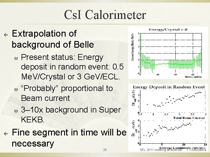 Cs. I Calorimeter ß Extrapolation of background of Belle Þ Þ Þ ß Present