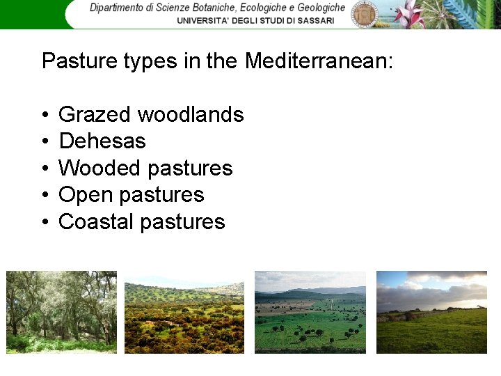 Pasture types in the Mediterranean: • • • Grazed woodlands Dehesas Wooded pastures Open