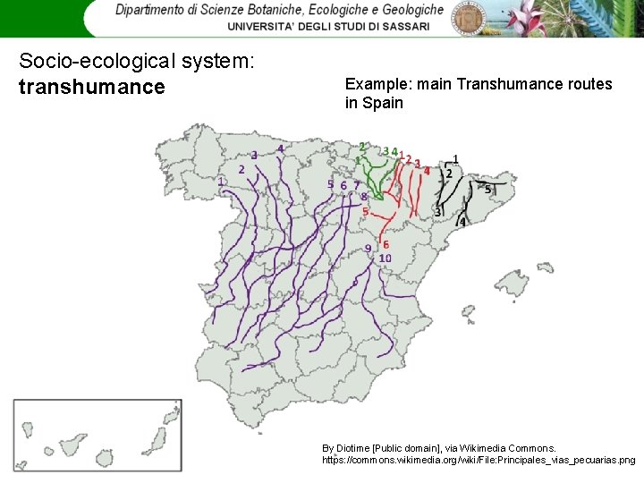 Socio-ecological system: transhumance Example: main Transhumance routes in Spain By Diotime [Public domain], via