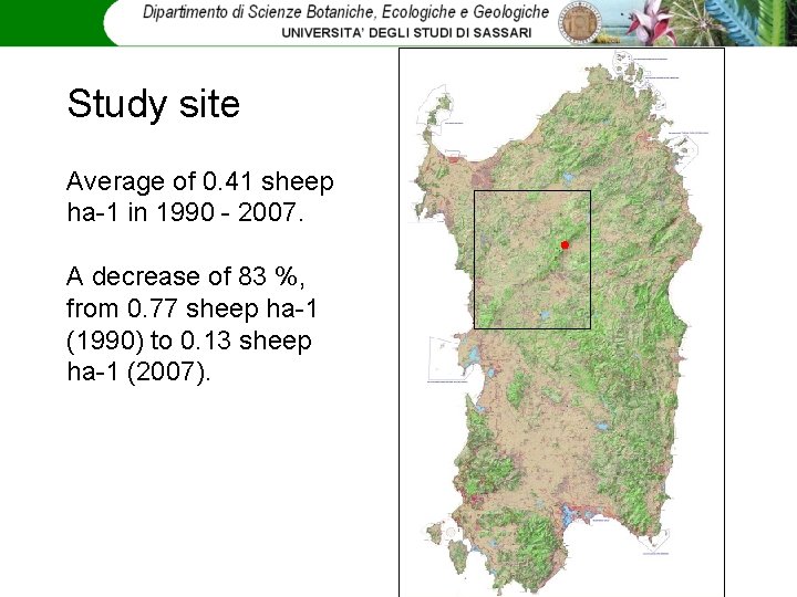 Study site Average of 0. 41 sheep ha-1 in 1990 - 2007. A decrease