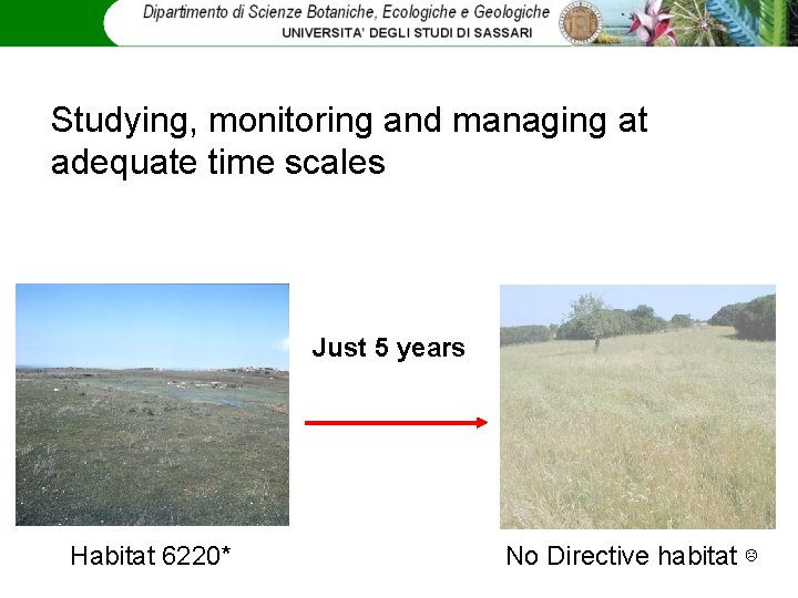 Studying, monitoring and managing at adequate time scales Just 5 years Habitat 6220* No