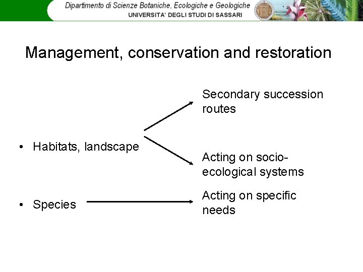 Management, conservation and restoration Secondary succession routes • Habitats, landscape • Species Acting on