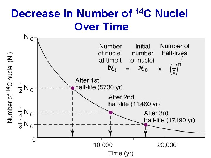 Decrease in Number of 14 C Nuclei Over Time 