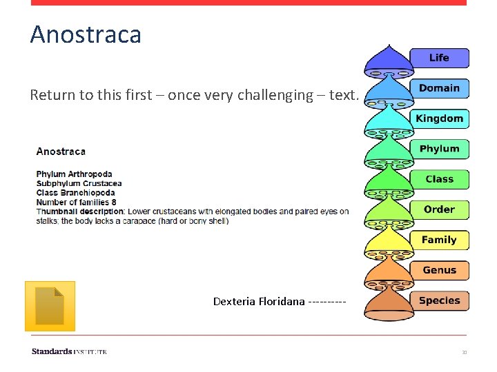 Anostraca Return to this first – once very challenging – text. Dexteria Floridana -----
