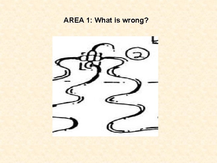 AREA 1: What is wrong? 